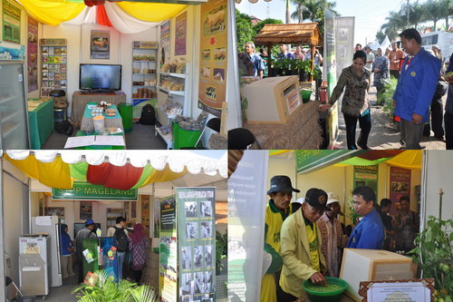 Soropadan Agro Expo 2012