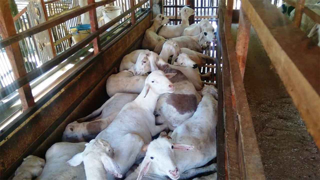 Efek Positif Program PWMP bagi Petani