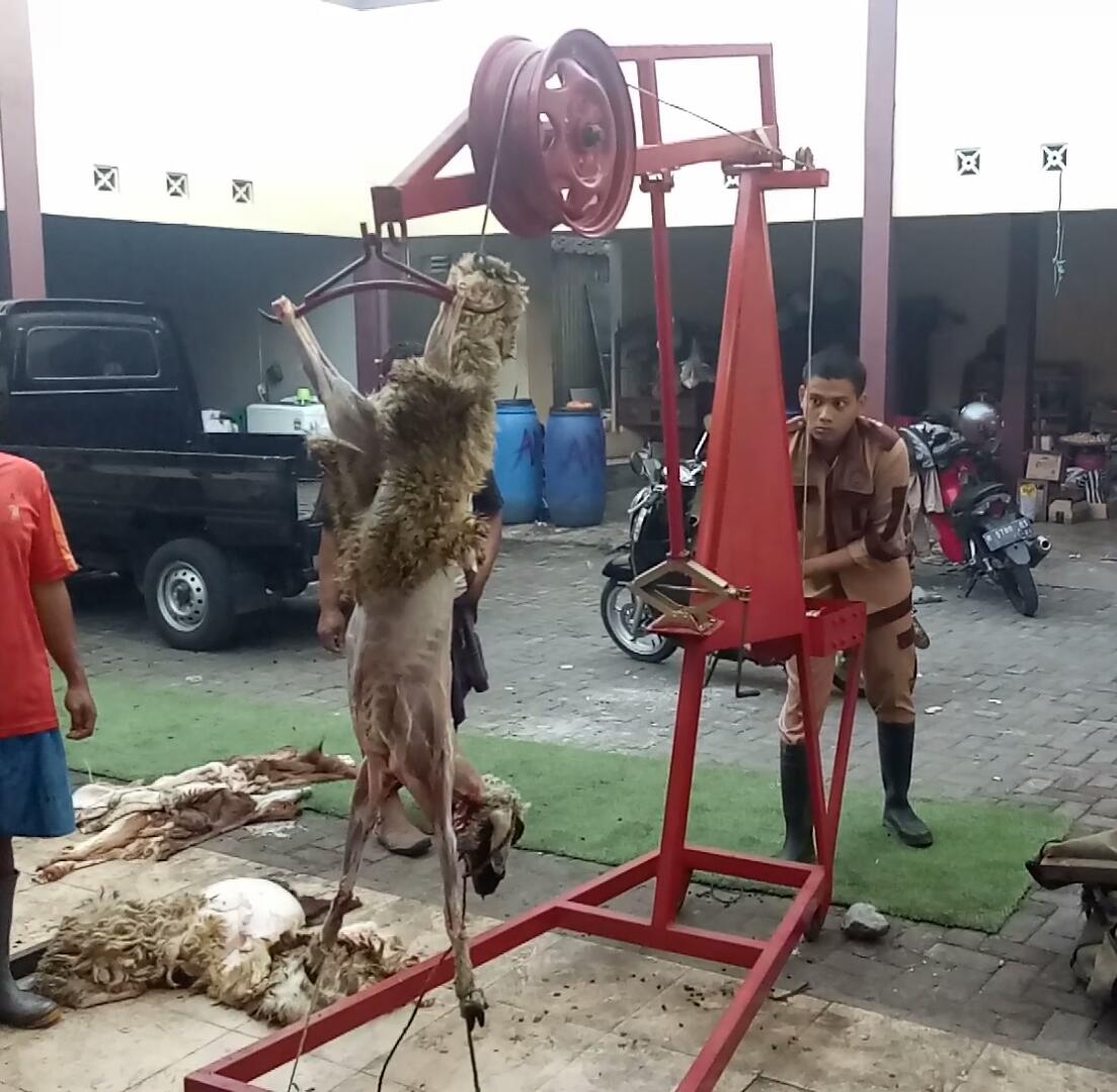 Magang Sebagai Pembekalan Tugas Akhir Mahasiswa Polbangtan Yoma