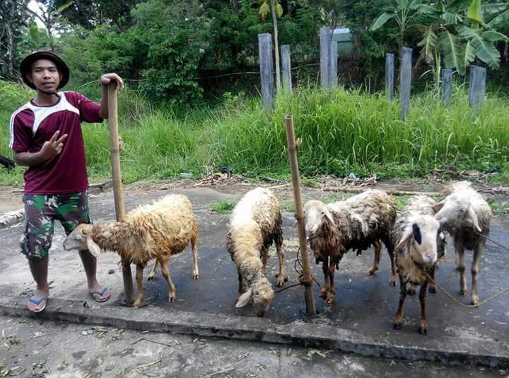 Manfaat Kegiatan PWMP (PENUMBUHAN WIRAUSAHA MUDA PERTANIAN)