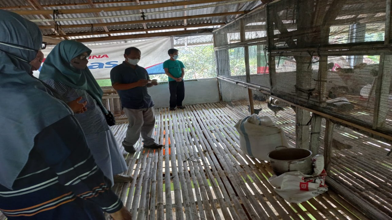 Kembangkan TEFA, Polbangtan YoMa Studi Banding di Polinela